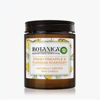 Air Wick Botanica Wax Candle 205g CNP