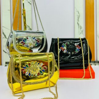 Radiant Ladies Clutch Bag CNP