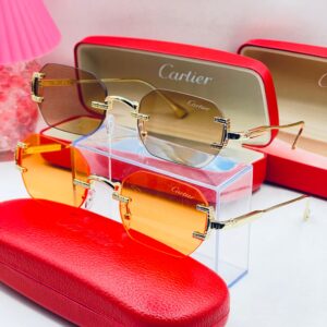 Timeless Classic Sunglasses CNP