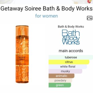 Authentic Bath and Body Works Mist CNP