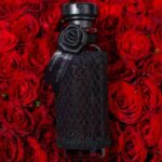 Osma Charming Unisex Perfume CNP