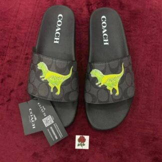 Designer Signature Men Slide CNP
