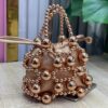 Metallic Beaded Top Hand Bag CNP